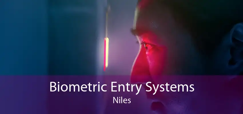 Biometric Entry Systems Niles