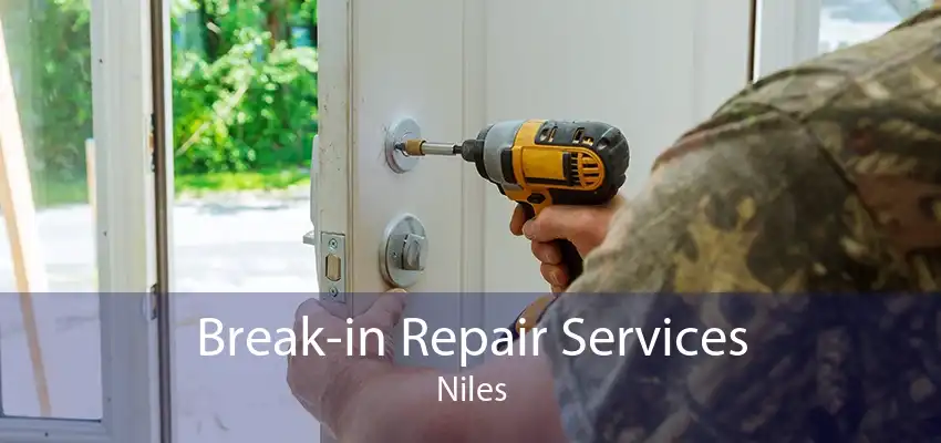 Break-in Repair Services Niles
