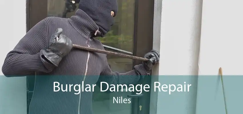 Burglar Damage Repair Niles