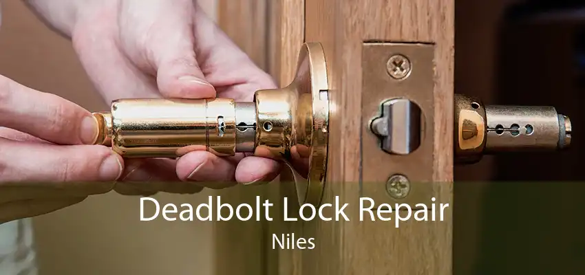 Deadbolt Lock Repair Niles