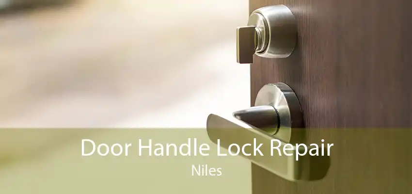 Door Handle Lock Repair Niles