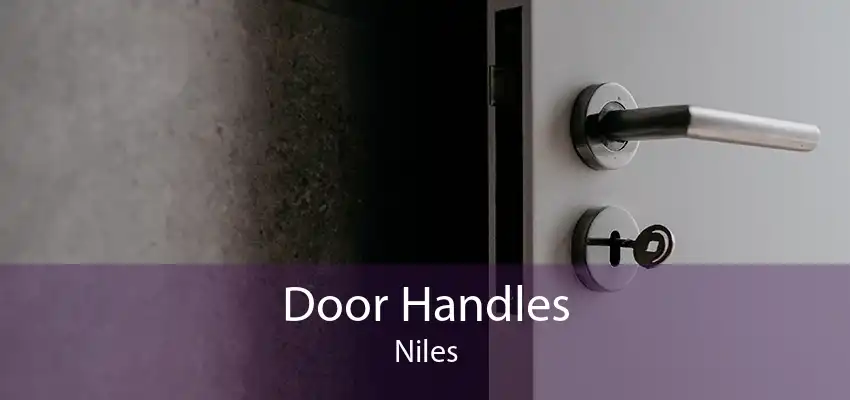 Door Handles Niles