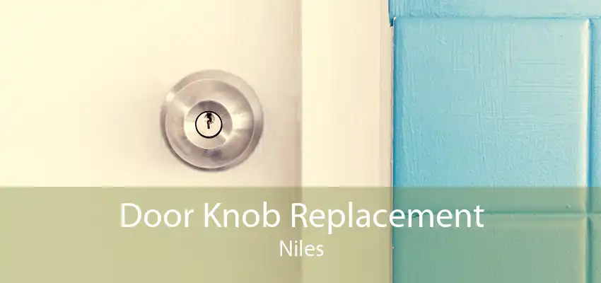 Door Knob Replacement Niles