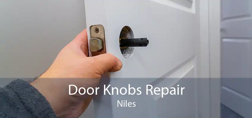 Door Knobs Repair Niles