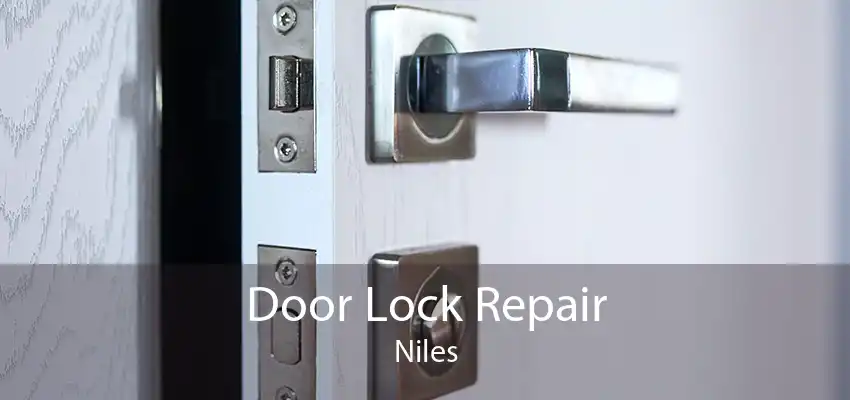 Door Lock Repair Niles