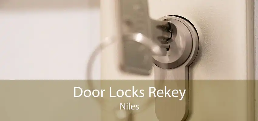Door Locks Rekey Niles