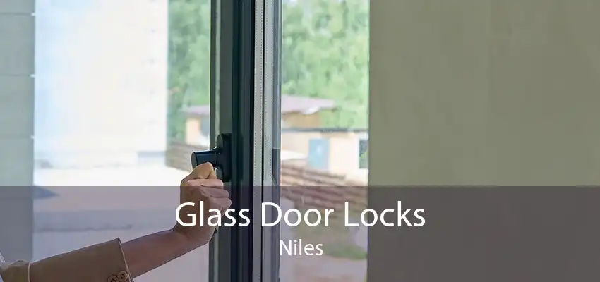 Glass Door Locks Niles