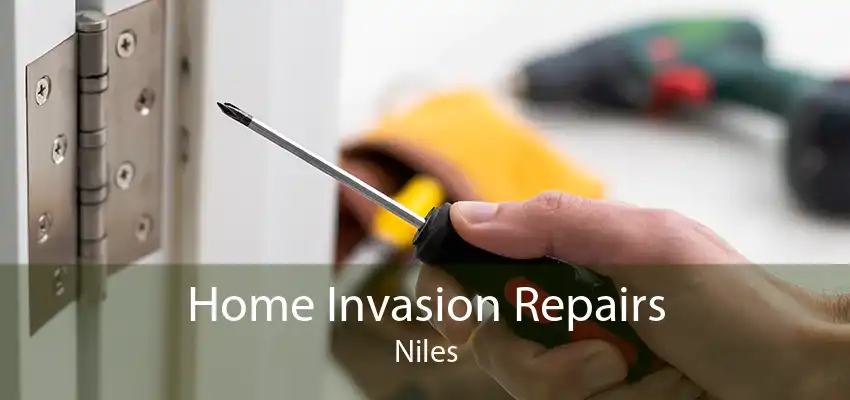 Home Invasion Repairs Niles