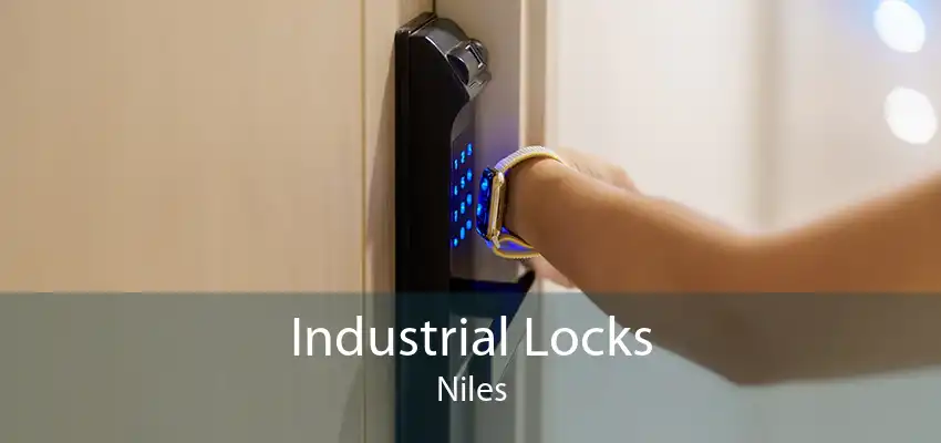 Industrial Locks Niles