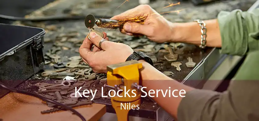 Key Locks Service Niles