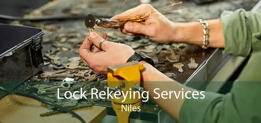 Lock Rekeying Services Niles