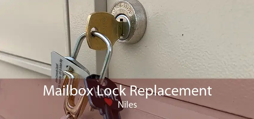Mailbox Lock Replacement Niles