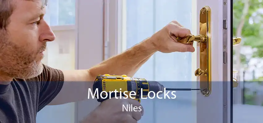 Mortise Locks Niles