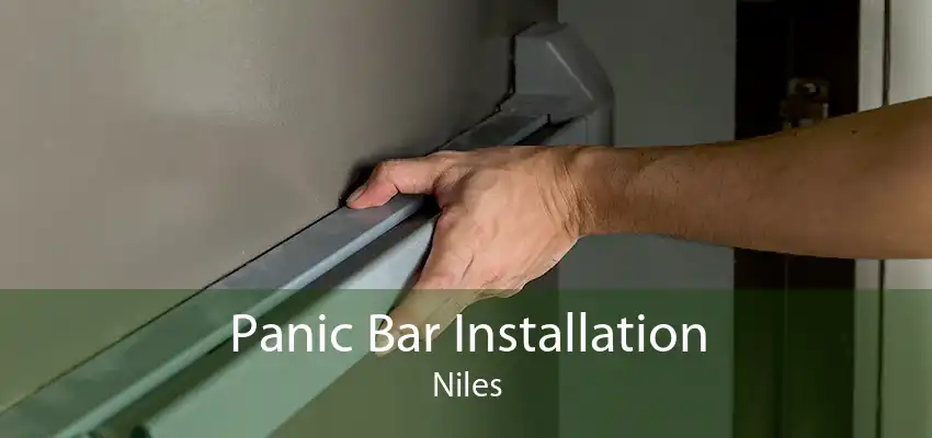 Panic Bar Installation Niles