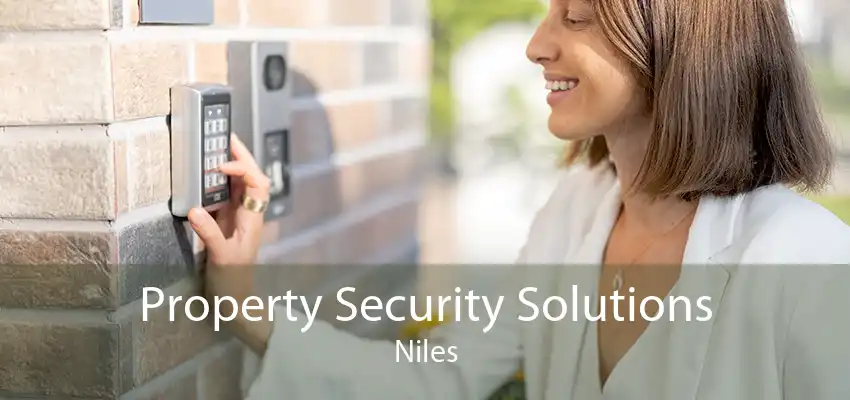 Property Security Solutions Niles
