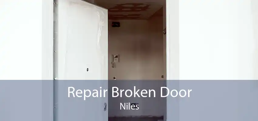 Repair Broken Door Niles