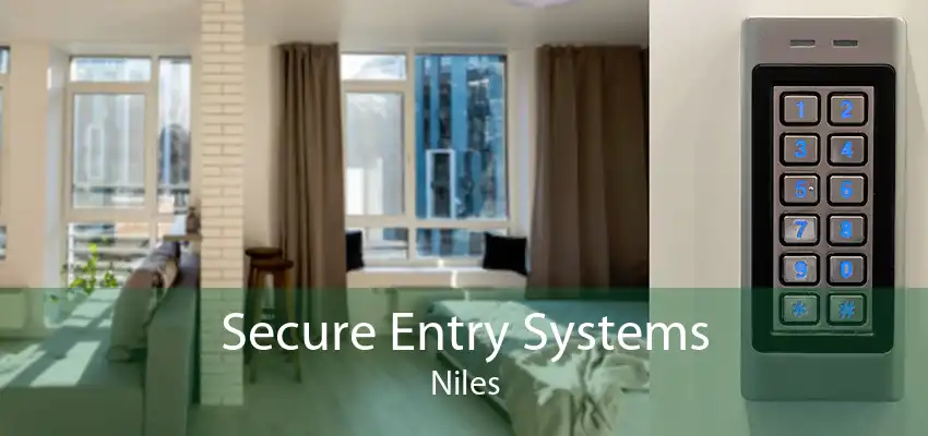 Secure Entry Systems Niles