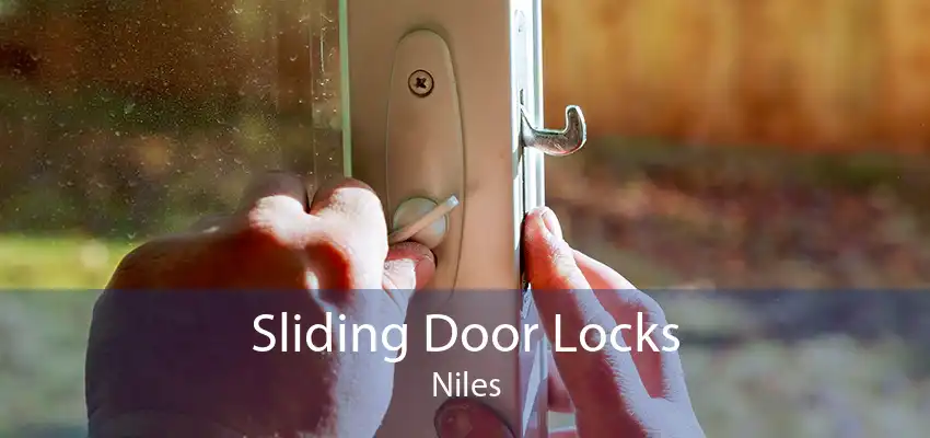 Sliding Door Locks Niles