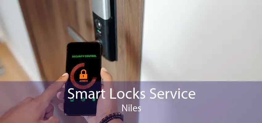 Smart Locks Service Niles