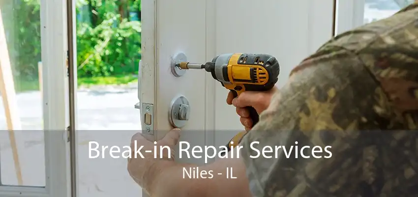 Break-in Repair Services Niles - IL