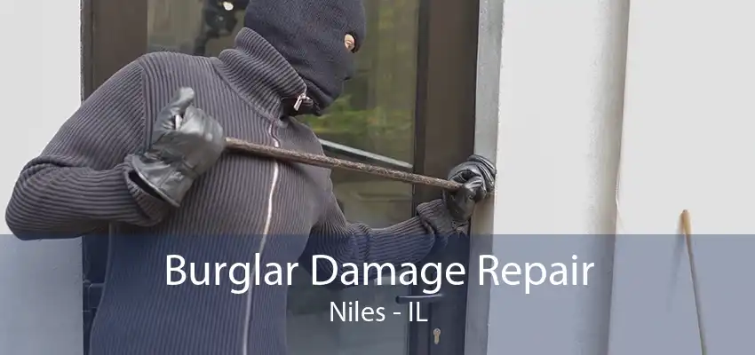 Burglar Damage Repair Niles - IL