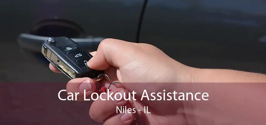 Car Lockout Assistance Niles - IL