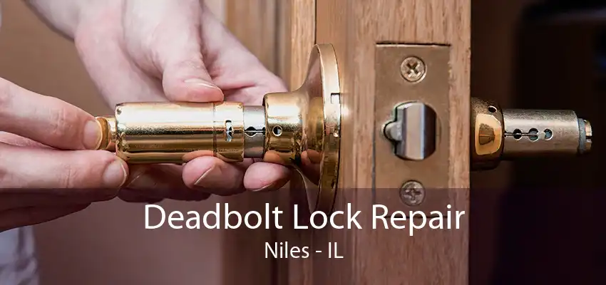 Deadbolt Lock Repair Niles - IL