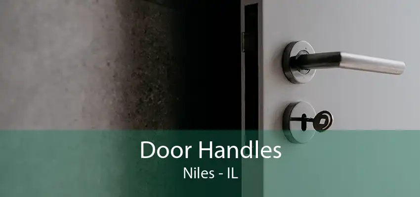 Door Handles Niles - IL