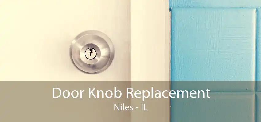 Door Knob Replacement Niles - IL