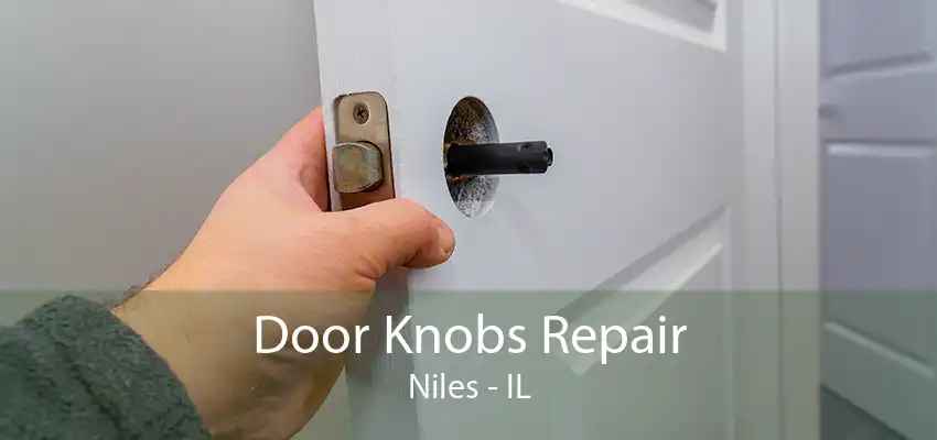 Door Knobs Repair Niles - IL