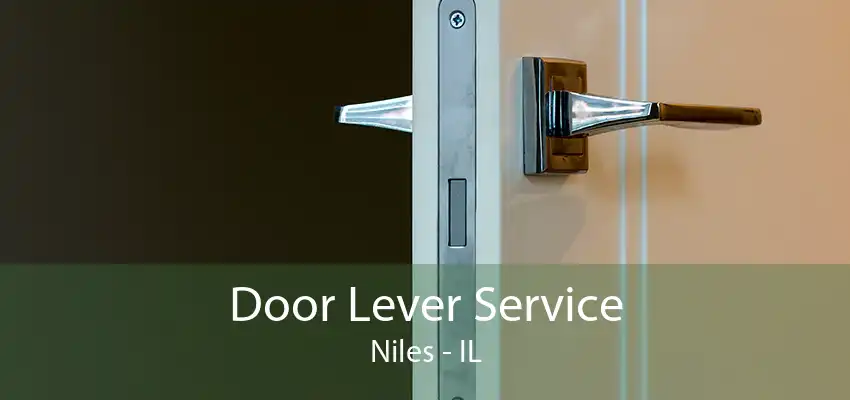 Door Lever Service Niles - IL