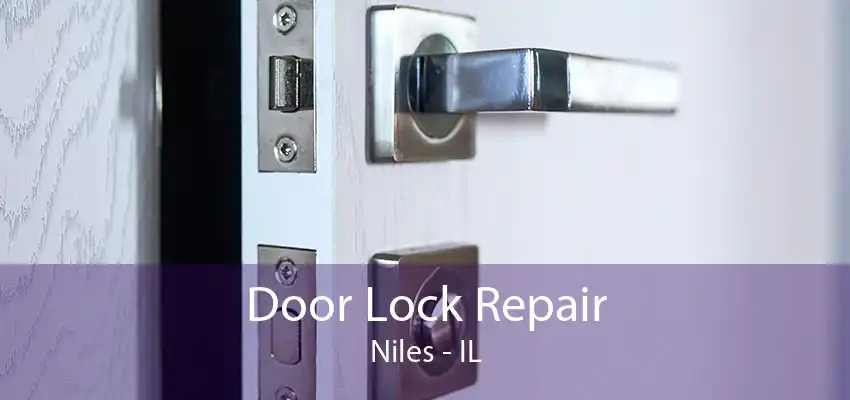 Door Lock Repair Niles - IL