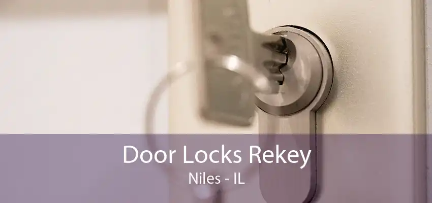 Door Locks Rekey Niles - IL