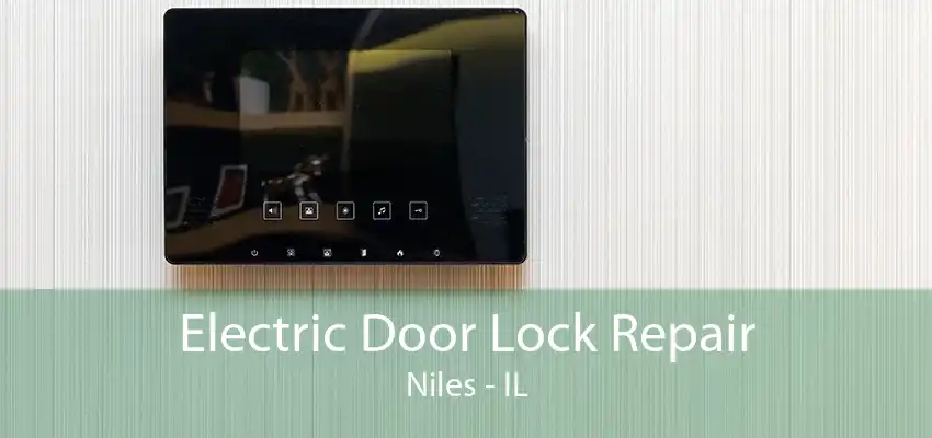 Electric Door Lock Repair Niles - IL