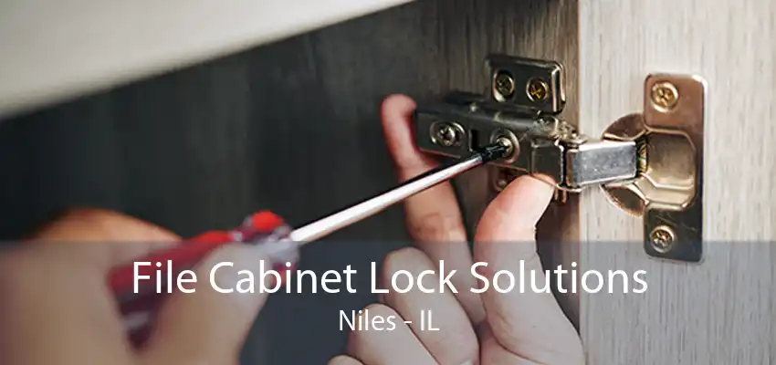 File Cabinet Lock Solutions Niles - IL