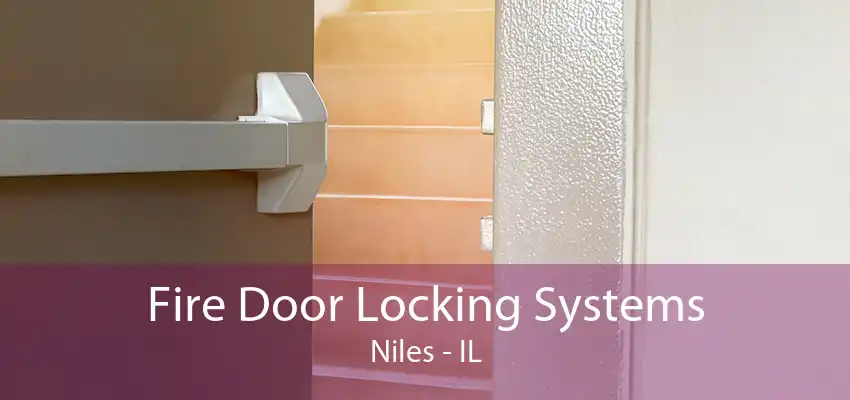 Fire Door Locking Systems Niles - IL