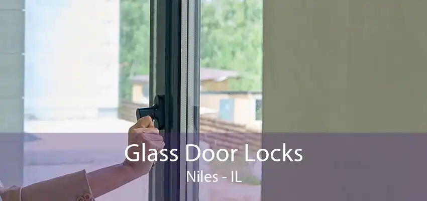 Glass Door Locks Niles - IL