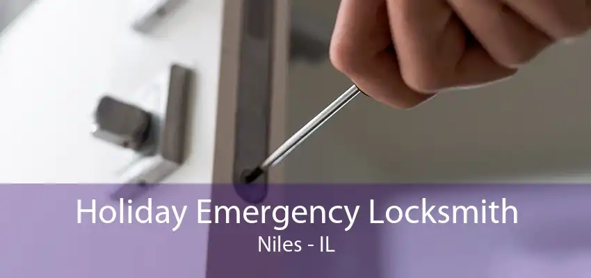 Holiday Emergency Locksmith Niles - IL