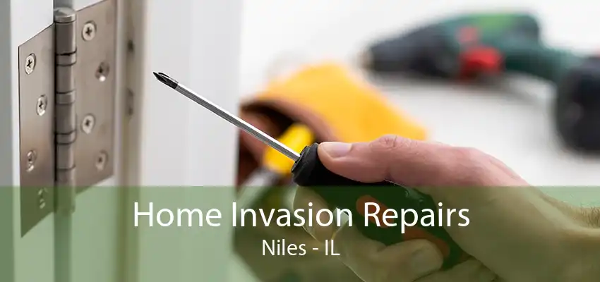 Home Invasion Repairs Niles - IL