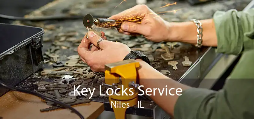 Key Locks Service Niles - IL