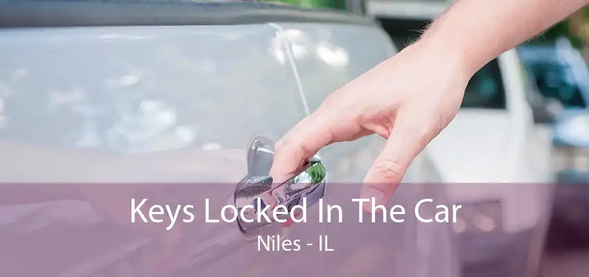 Keys Locked In The Car Niles - IL