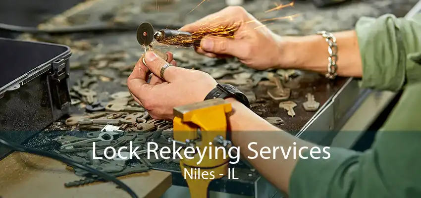 Lock Rekeying Services Niles - IL