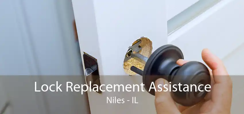 Lock Replacement Assistance Niles - IL