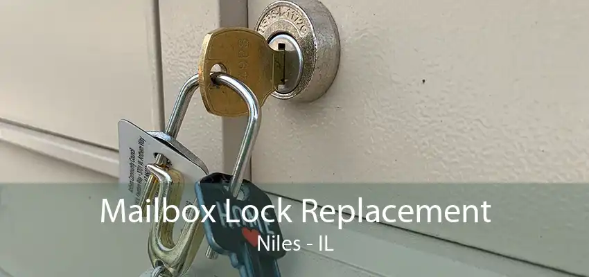 Mailbox Lock Replacement Niles - IL