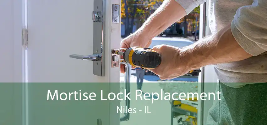 Mortise Lock Replacement Niles - IL