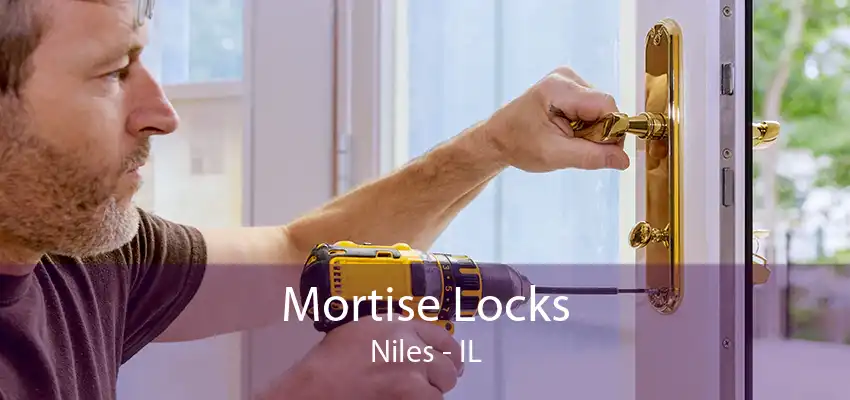 Mortise Locks Niles - IL