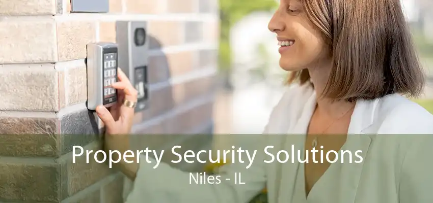 Property Security Solutions Niles - IL