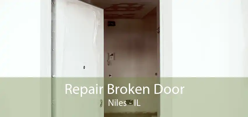 Repair Broken Door Niles - IL