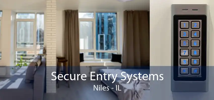 Secure Entry Systems Niles - IL