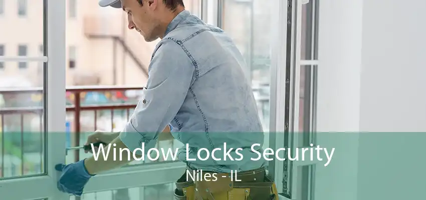 Window Locks Security Niles - IL